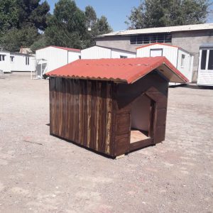 کانکس حیوانات کانکس حیوانات